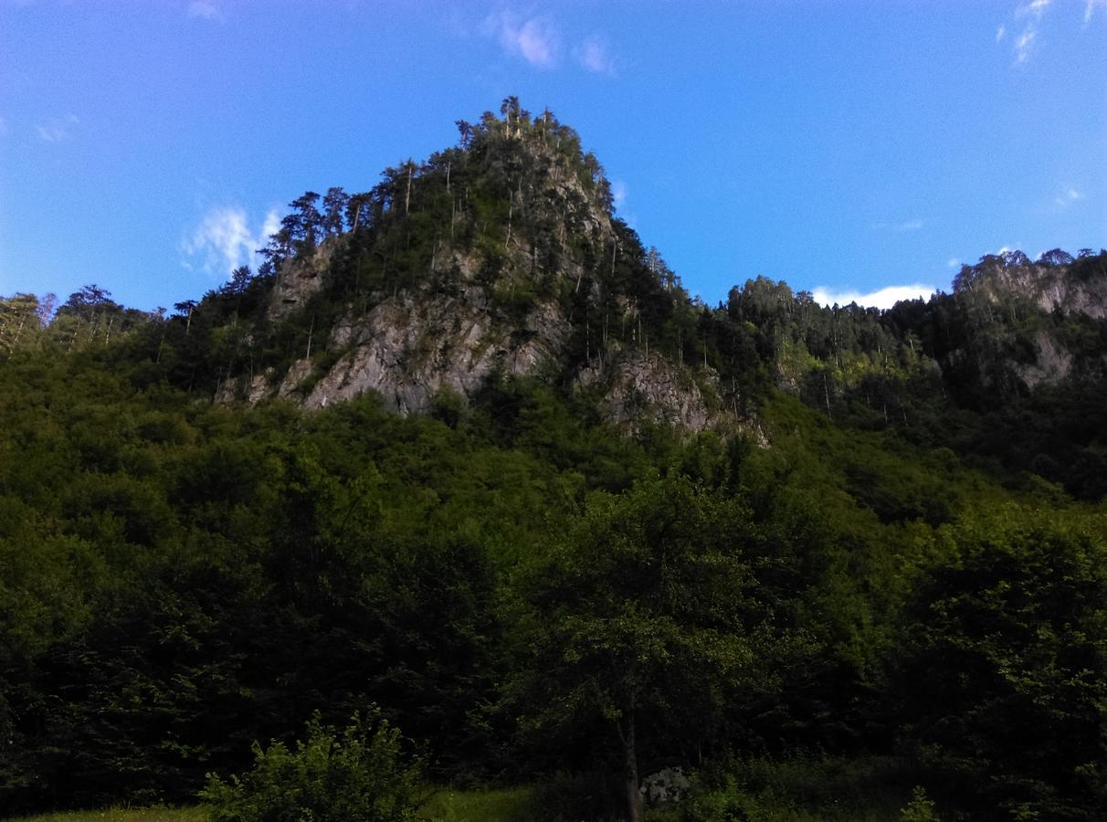 Vila Montana Dobrilovina Exterior foto